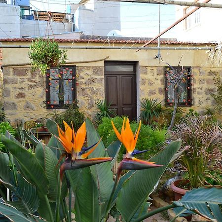 Mystery Garden Guest House Famagusta  Buitenkant foto