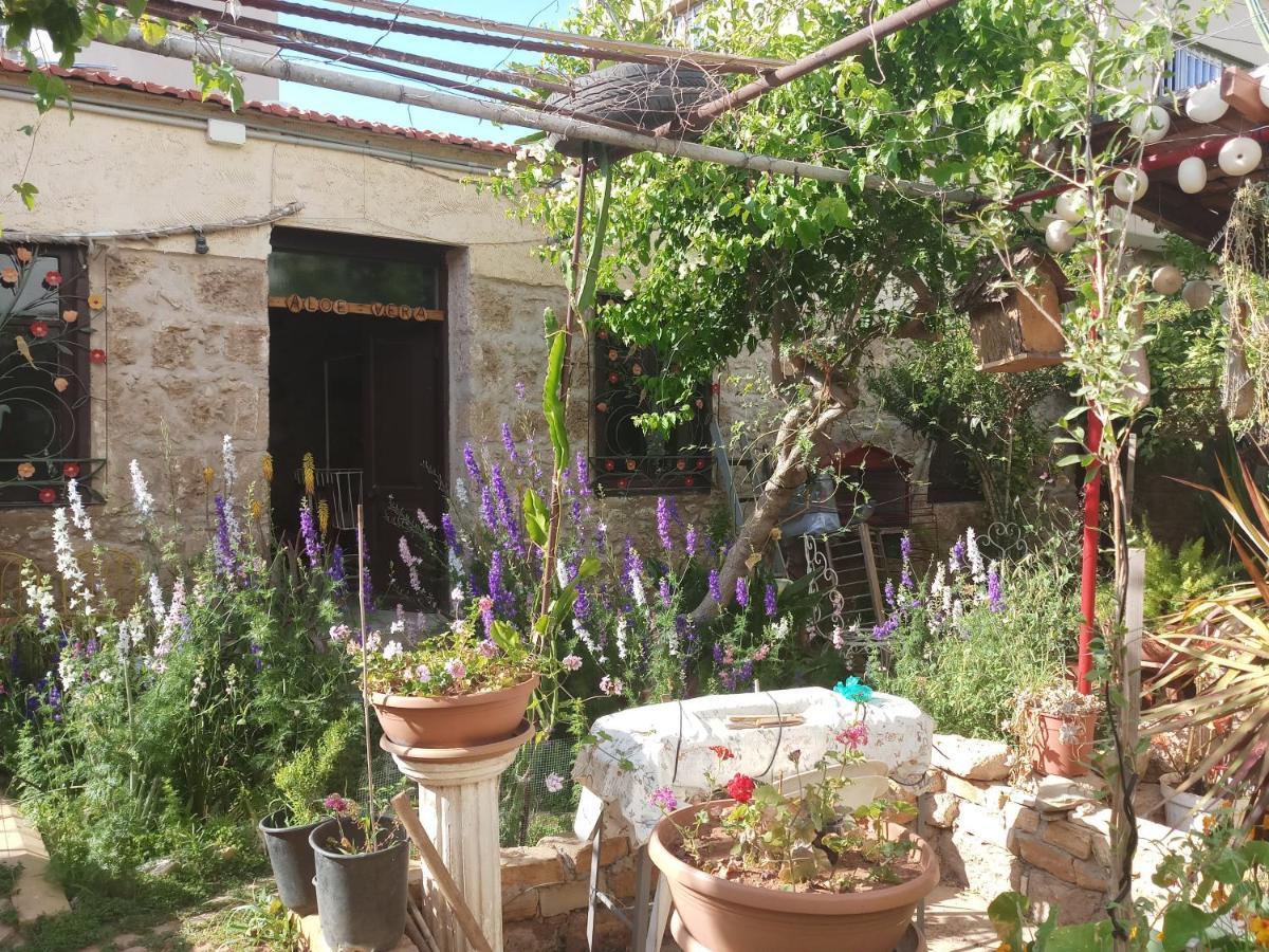 Mystery Garden Guest House Famagusta  Buitenkant foto