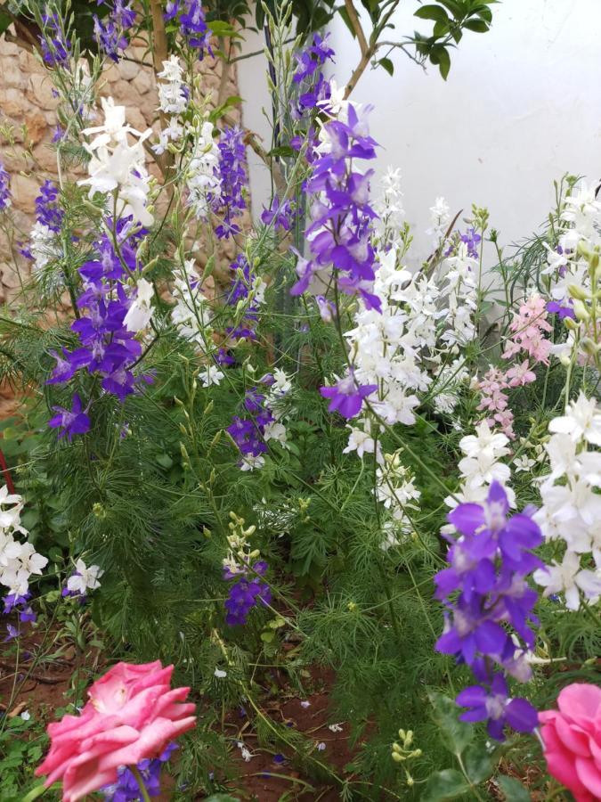 Mystery Garden Guest House Famagusta  Buitenkant foto