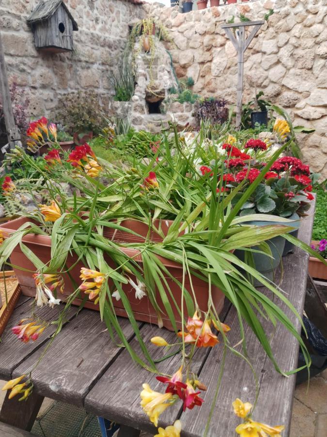 Mystery Garden Guest House Famagusta  Buitenkant foto