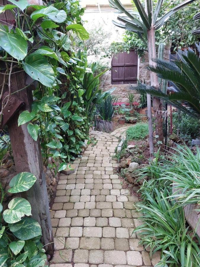 Mystery Garden Guest House Famagusta  Buitenkant foto