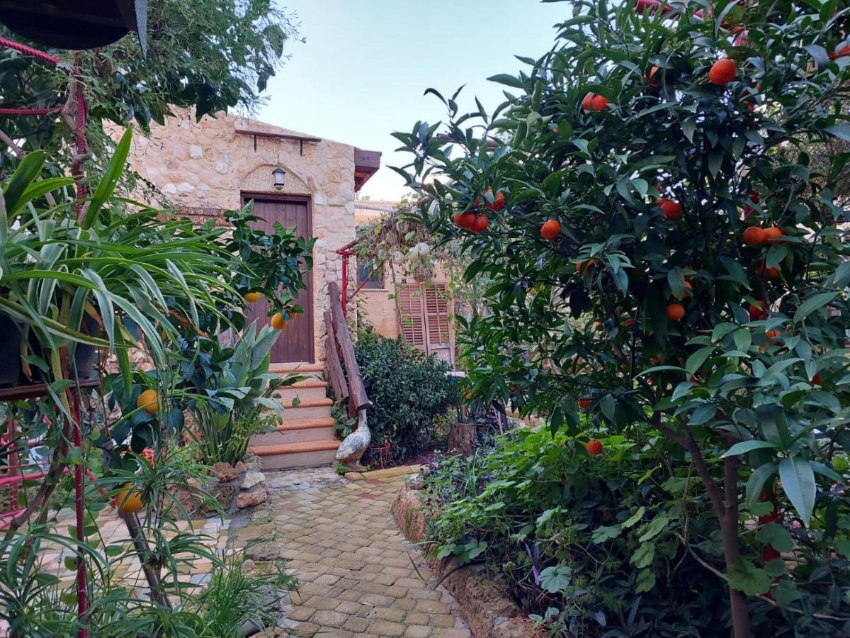 Mystery Garden Guest House Famagusta  Buitenkant foto