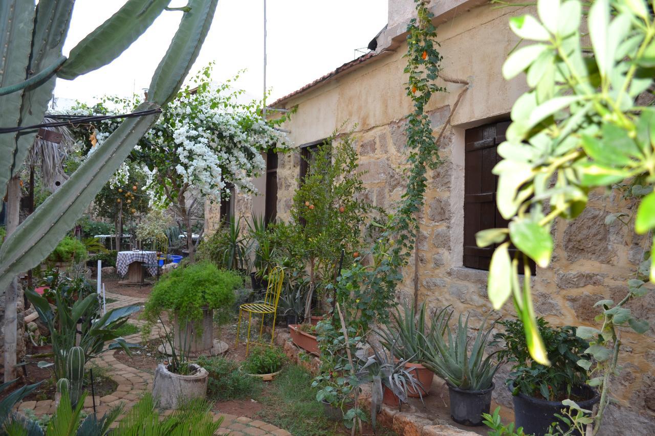 Mystery Garden Guest House Famagusta  Buitenkant foto