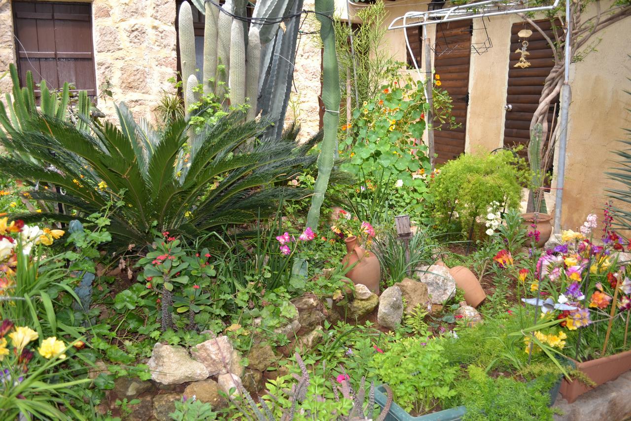 Mystery Garden Guest House Famagusta  Buitenkant foto