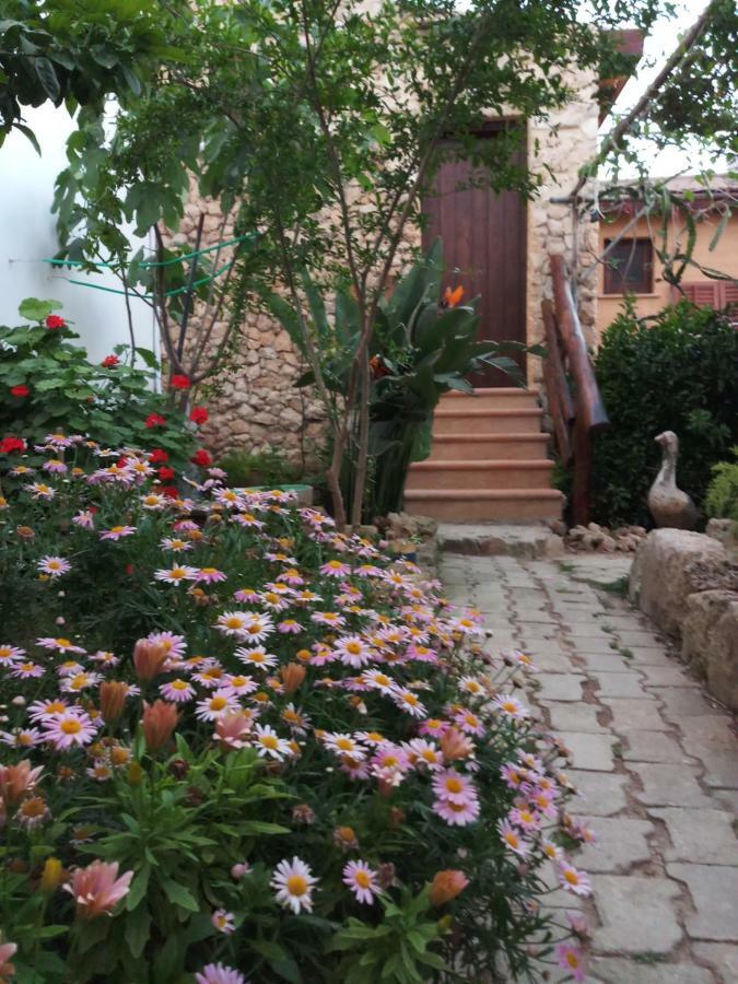 Mystery Garden Guest House Famagusta  Buitenkant foto