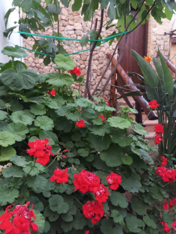 Mystery Garden Guest House Famagusta  Buitenkant foto